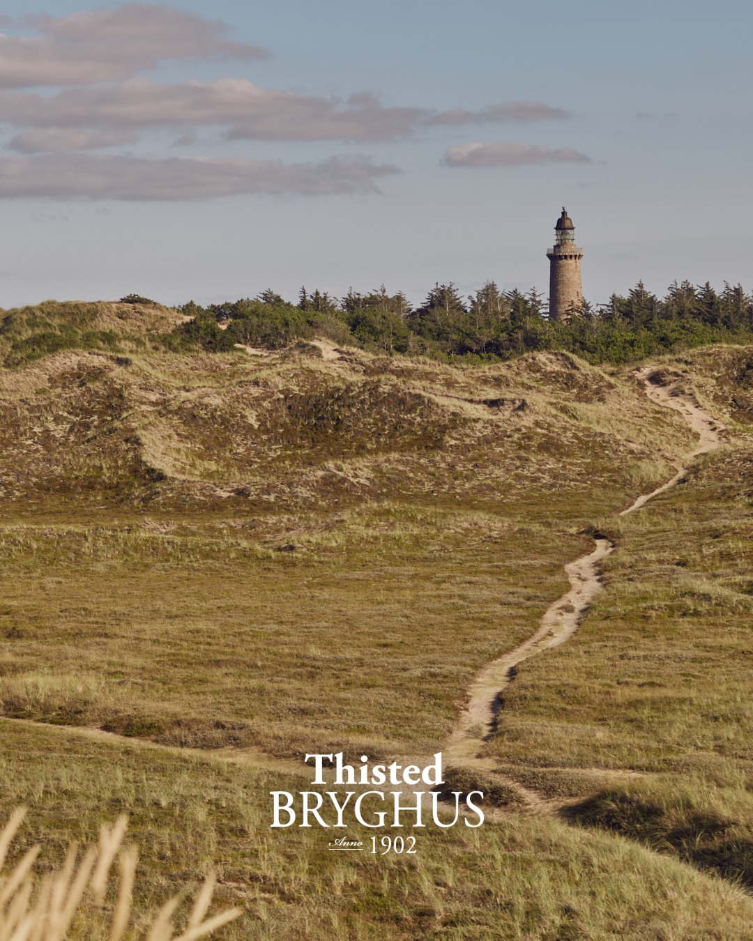 Hvad gør egentlig Thy til noget særligt for os? 🌾🌊
Vinden fra Vesterhavet. Stilheden i Nationalpark Thy. Lyset over Limfjorden. Eller de råvarer, der vokser lige her omkring os.
For os er Thy ikke bare det sted, vi brygger vores smagsoplevelser. Det er en del af vores DNA.
Det er her, vi finder inspiration. I naturen, i årstiderne, i traditionerne og i de mennesker, der har været med til at forme bryghuset gennem generationer.
Når vi brygger, handler det ikke kun om malt, humle, vand og gær. Det handler også om fornemmelsen af det sted, vi kommer fra. Om roen, råheden og fællesskabet herude vestpå.
Nogle smage kan man ikke tænke sig frem til.
De skal mærkes – og det skal kunne smages i hver enkelt tår 🍺
#thistedbryghus #thy #smagenafgodthåndværk