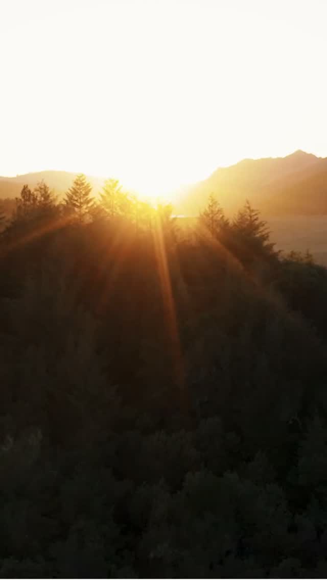 Moments from nature, inspiring every piece we create.
