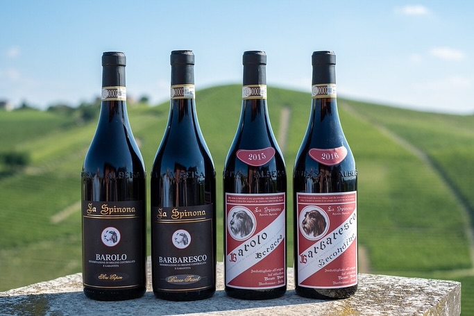 La Spinona: Tradition Meets Innovation
In the heart of Barbaresco, the Berutti family cultivates 24 hectares of vines across four historic farmsteads. From Nebbiolo, Barbera, Dolcetto, to Chardonnay, each vineyard expresses the richness of Piedmont’s terroir. Alongside the vines, the family raises Fassona cattle, embodying a sustainable approach where tradition and innovation walk hand in hand. Today, fifth-generation winemaker Pietropaolo and his father Gualtiero continue this legacy, blending deep respect for the land with a forward-looking vision.
✨ Discover La Spinona’s wines in our portfolio: ask us about them at our next tasting or find them on our website.
@la_spinona 
#laspinona #barbaresco #barolo #piedmontwines #italianwine #familywinery #traditionandinnovation #hmercerimports
