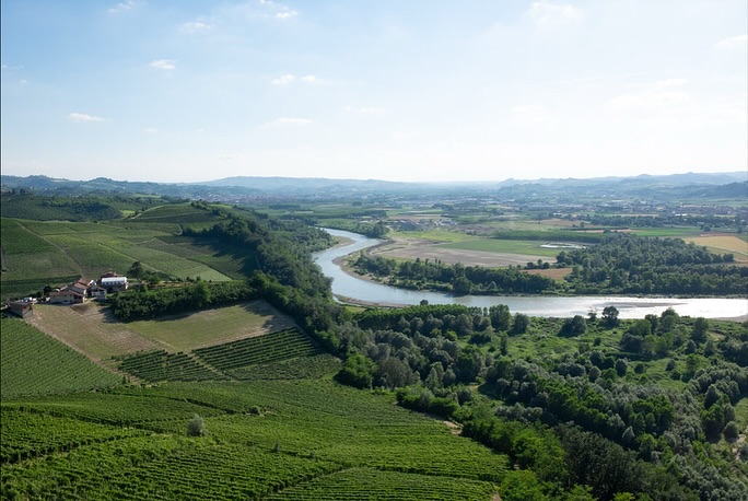 La Spinona: Tradition Meets Innovation
In the heart of Barbaresco, the Berutti family cultivates 24 hectares of vines across four historic farmsteads. From Nebbiolo, Barbera, Dolcetto, to Chardonnay, each vineyard expresses the richness of Piedmont’s terroir. Alongside the vines, the family raises Fassona cattle, embodying a sustainable approach where tradition and innovation walk hand in hand. Today, fifth-generation winemaker Pietropaolo and his father Gualtiero continue this legacy, blending deep respect for the land with a forward-looking vision.
✨ Discover La Spinona’s wines in our portfolio: ask us about them at our next tasting or find them on our website.
@la_spinona 
#laspinona #barbaresco #barolo #piedmontwines #italianwine #familywinery #traditionandinnovation #hmercerimports