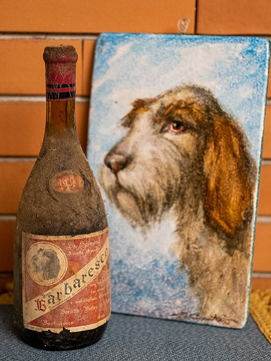 La Spinona’s story begins in 1920, when Giovanni Berutti purchased his first vineyard in the Faset cru of Barbaresco. From that single hectare, five generations have grown the estate into one of the region’s most respected wineries. The family’s passion has endured through time, expanding their vineyards, opening to the world, and carrying forward the memory of Baica, the faithful Spinone Italiano dog who inspired the winery’s name and logo. Today, Pietropaolo continues his family’s century-long dedication to Barbaresco, crafting wines that honor history while embracing innovation.
🍷 Taste the legacy of La Spinona with us, find their wines in our portfolio and at our upcoming tasting events.
@la_spinona 
#laspinona #barbaresco #barolo #nebbiolo #italianwineheritage #piedmontwine #familytradition #hmercerimports