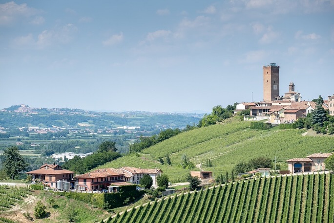 La Spinona’s vineyards are rooted in the finest hillsides of Barbaresco and Novello, with sun-drenched slopes and a microclimate shaped by the Tanaro River. These natural conditions, combined with meticulous handwork, give birth to wines of precision and elegance — from the finesse of Barbaresco and Nebbiolo to the power of Barolo. Guided by a philosophy of respect for nature, the Berutti family cultivates their vines sustainably, using natural fertilization from their Fassona cattle and low-impact treatments. The result: wines that embody the soul of their land, vintage after vintage.
🌿 Explore La Spinona’s unique terroirs through their wines, proudly part of our H. Mercer Imports portfolio.
@la_spinona 
#laspinona #barbaresco #barolo #nebbiolo #piedmontwines #sustainablewine #familyvineyard #hmercerimports