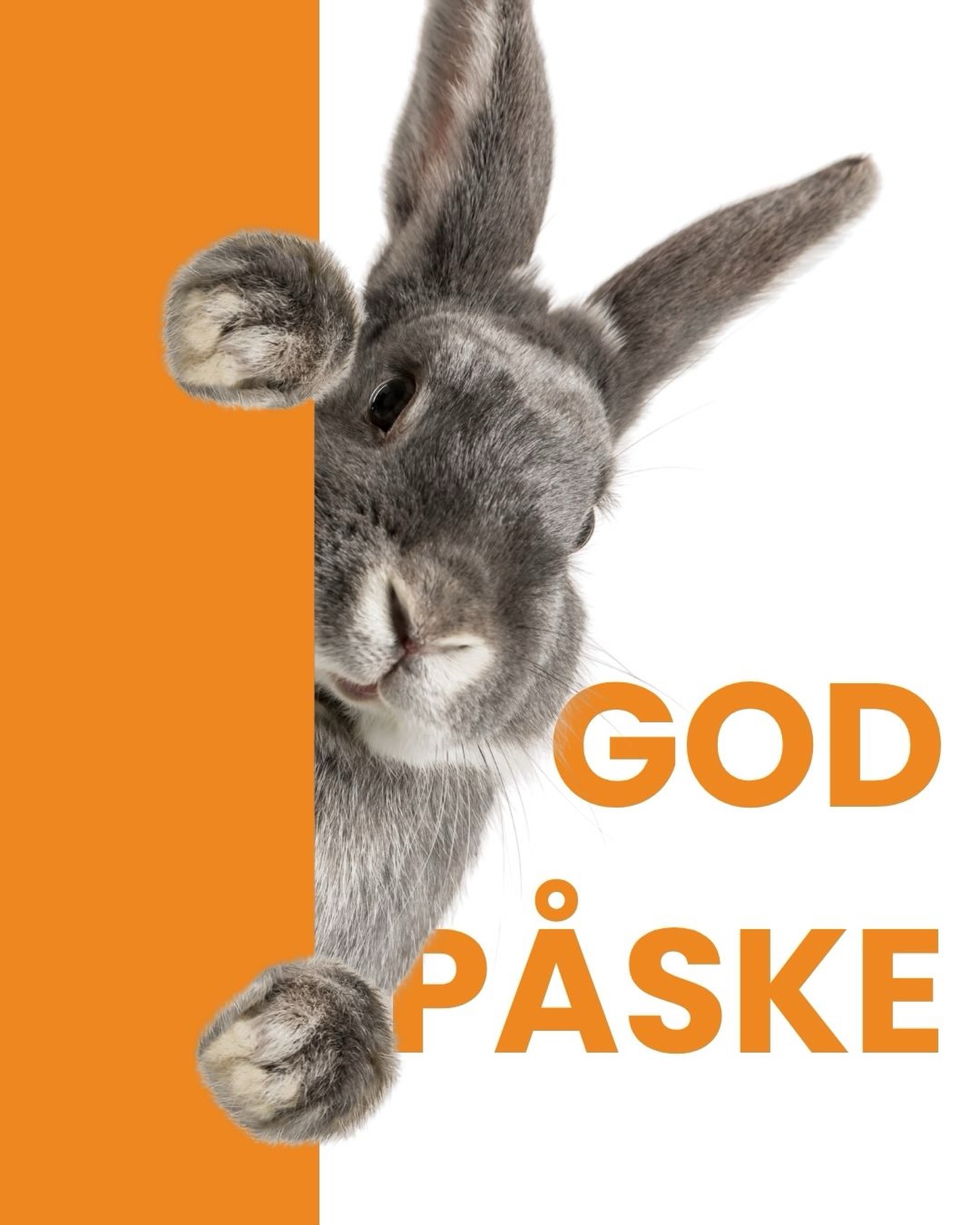 Rigtig god påske til jer alle 🐣
Vi glæder os til at være tilbage igen tirsdag d. 7. april 🥳
#godpåske