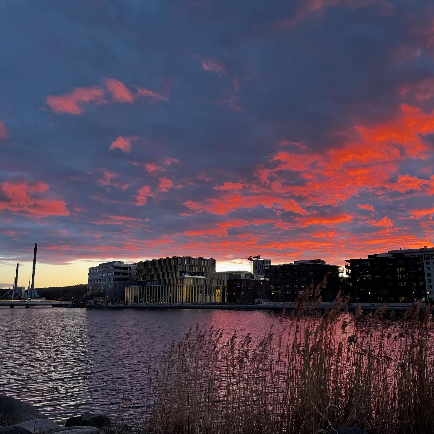 Stort tack Jönköping för den här gången! Vår lilla förskole-turné här har lidit mot sitt slut. 27 föreställningar på 14 olika förskolor för närmare 1000 barn! Härligt! Nästa stop för ”min mamma är snabbare än din” blir Skåne. Trevlig helg! 🏃🏻♀️➡️🏃🏻♀️➡️🦈🚕🏍️🐠