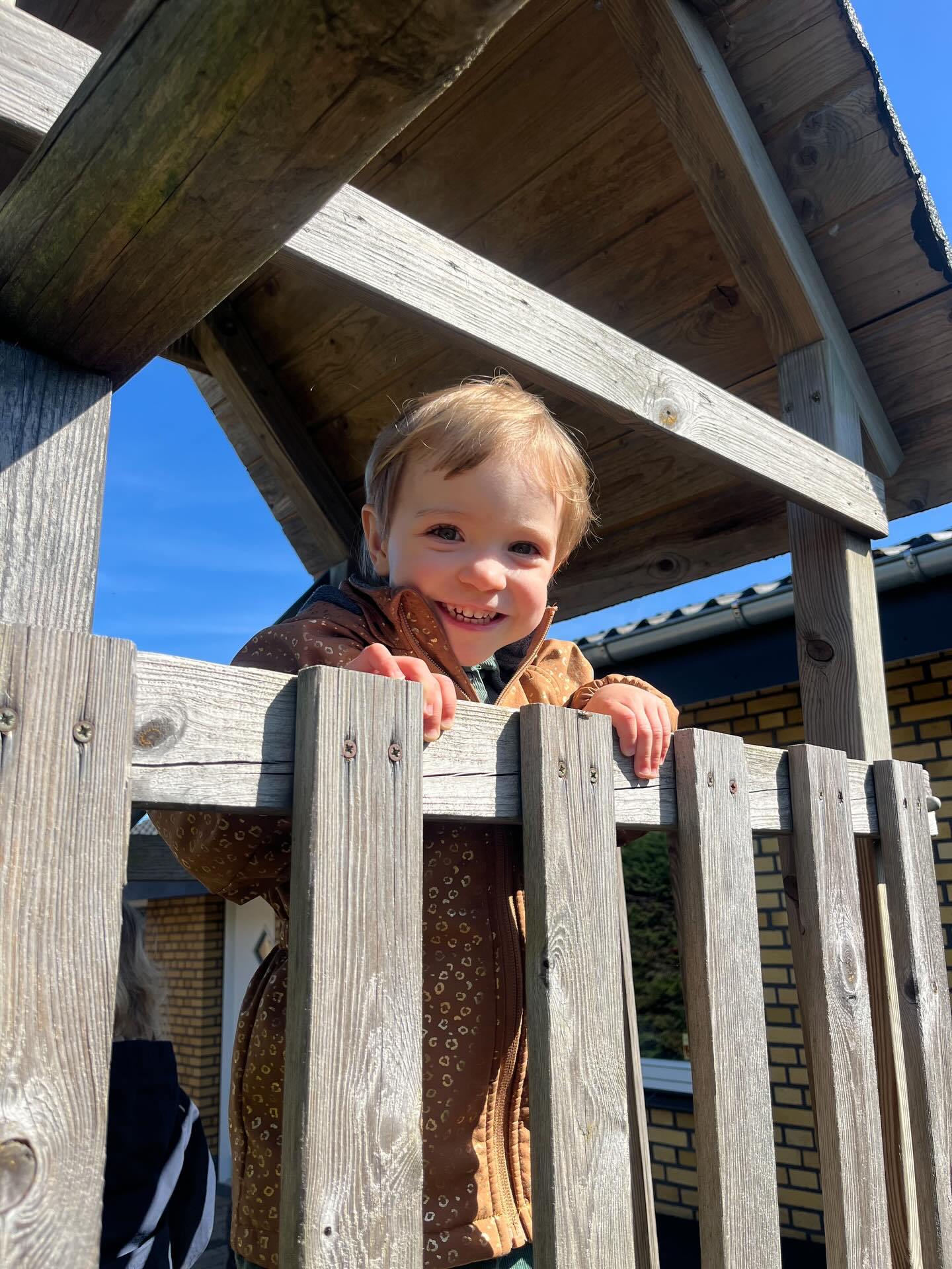Hende her & vennerne kan ikke få nok af den her dejlige forårssol , og vi forstår dem 🌞