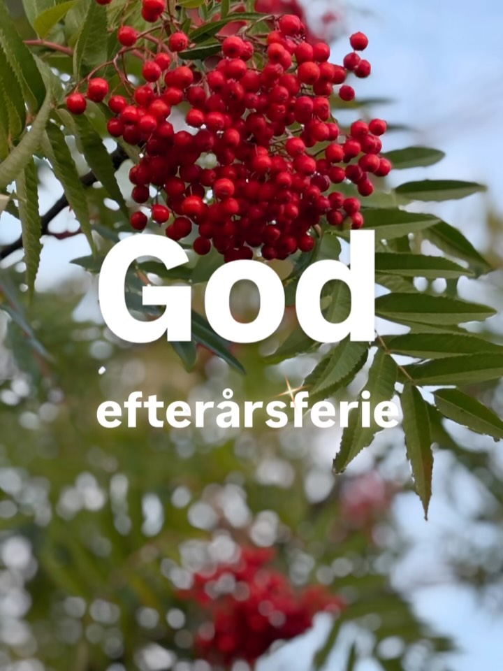 🍁🍂Rigtig god efterårsferie, alle sammen. Tak for en god start på sæsonen. Vi ses i uge 43 til flere fede aktiviteter og selvfølgelig alle de faste hold - HUSK Open Friday den 23. oktober🤩
#ltu💙 #efterårsferie #ungilyngbytaarbæk #vises